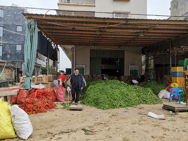 J9集团|国际站官网