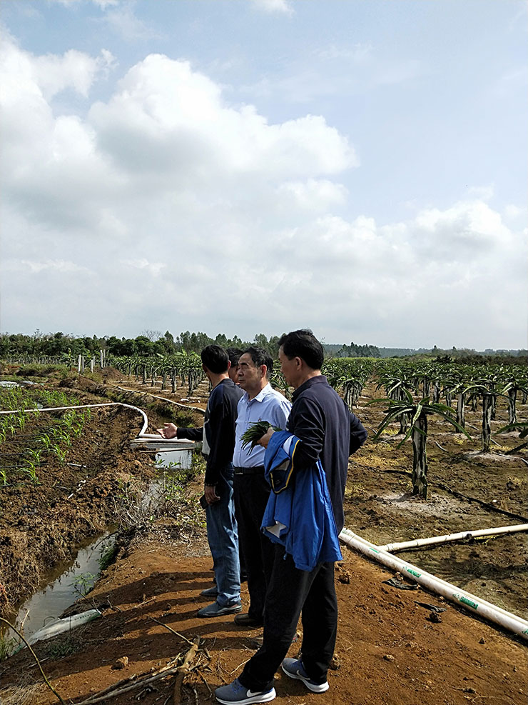 J9集团|国际站官网