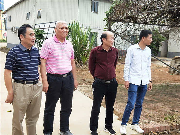 J9集团|国际站官网