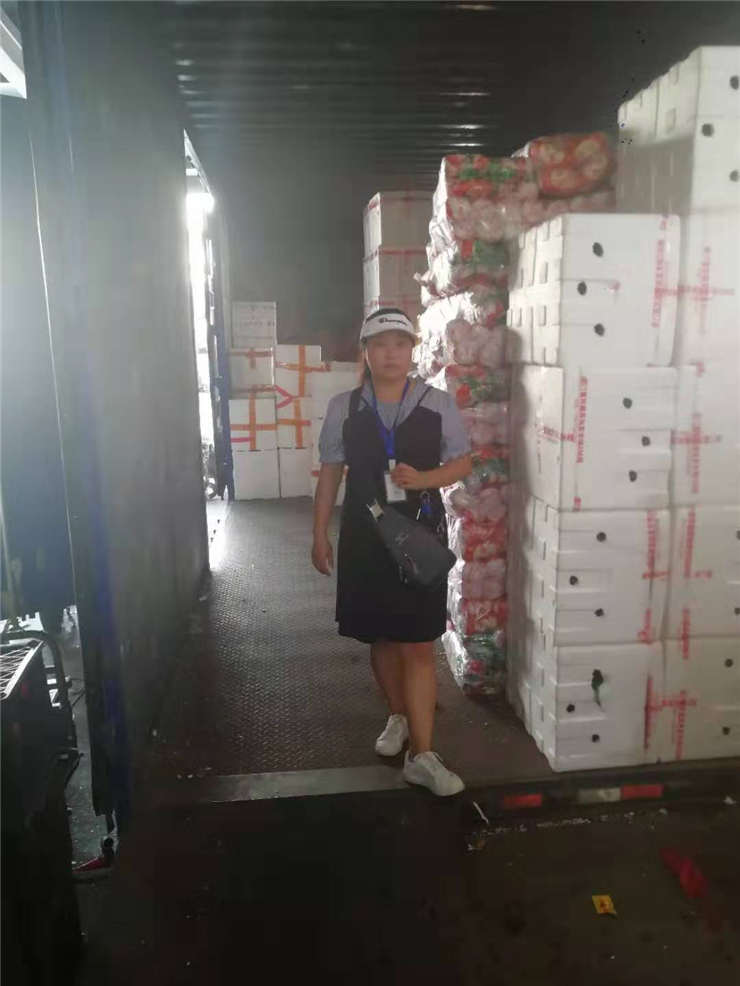 J9集团|国际站官网