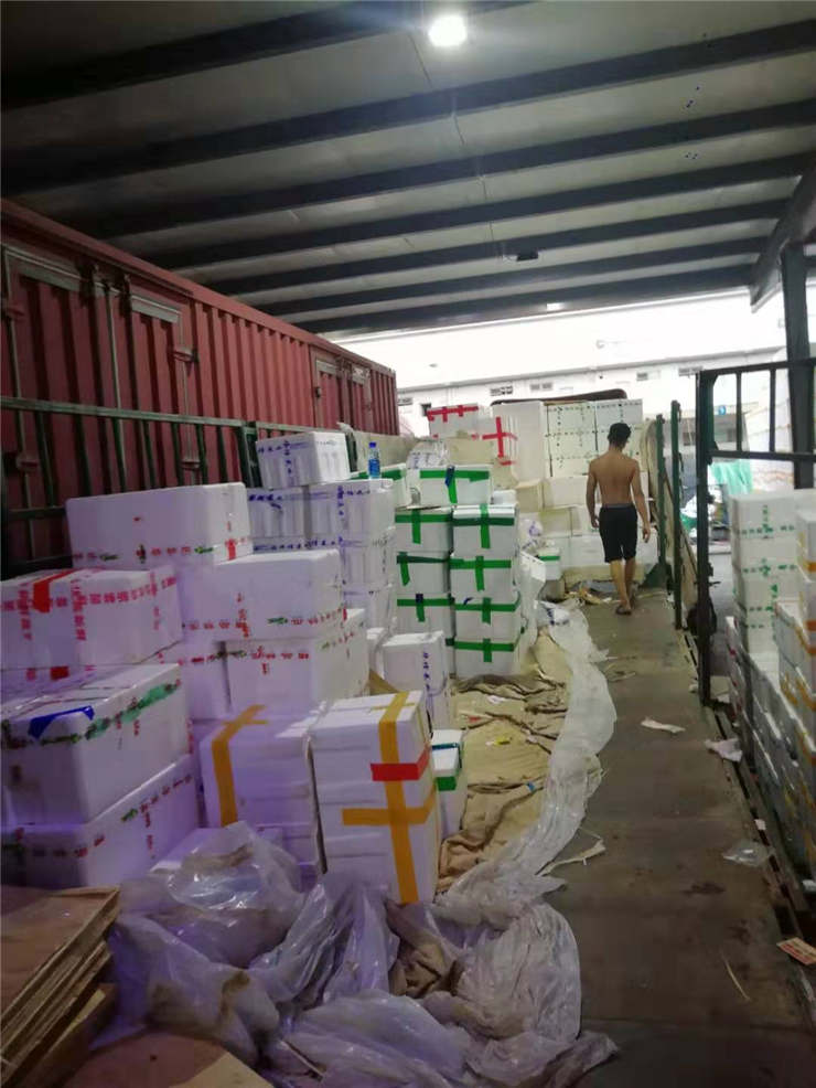 J9集团|国际站官网