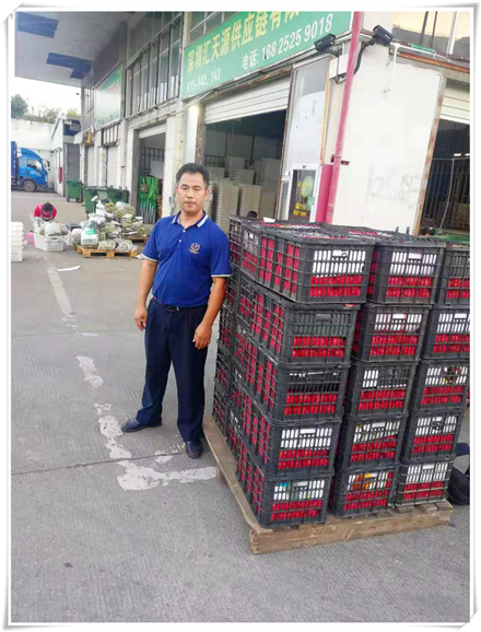 J9集团|国际站官网