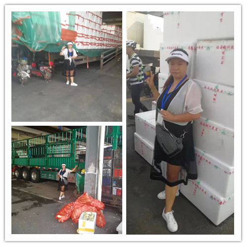 J9集团|国际站官网