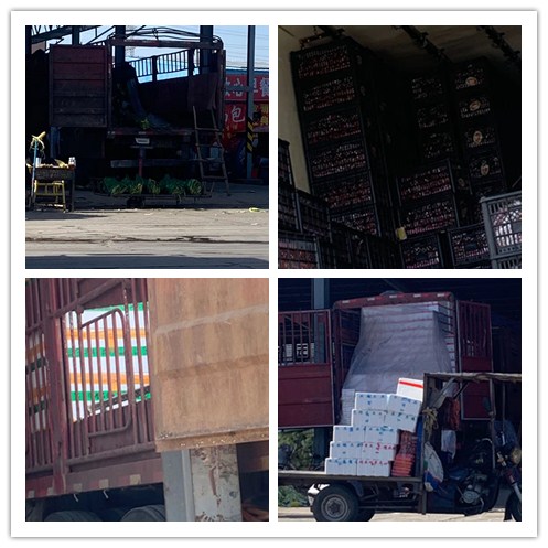 J9集团|国际站官网