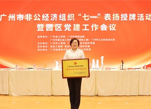 标杆引领，荣誉升级！集团党支部荣膺广州市非公有造经济组织“双强六好”标